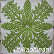 Kahili Ginger